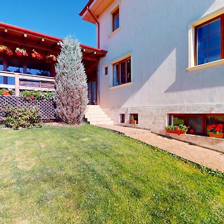 Vila Daria 3 Rucar  Exterior photo