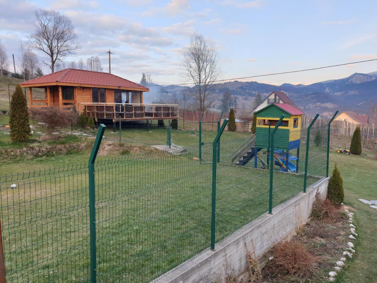 Vila Daria 3 Rucar  Exterior photo